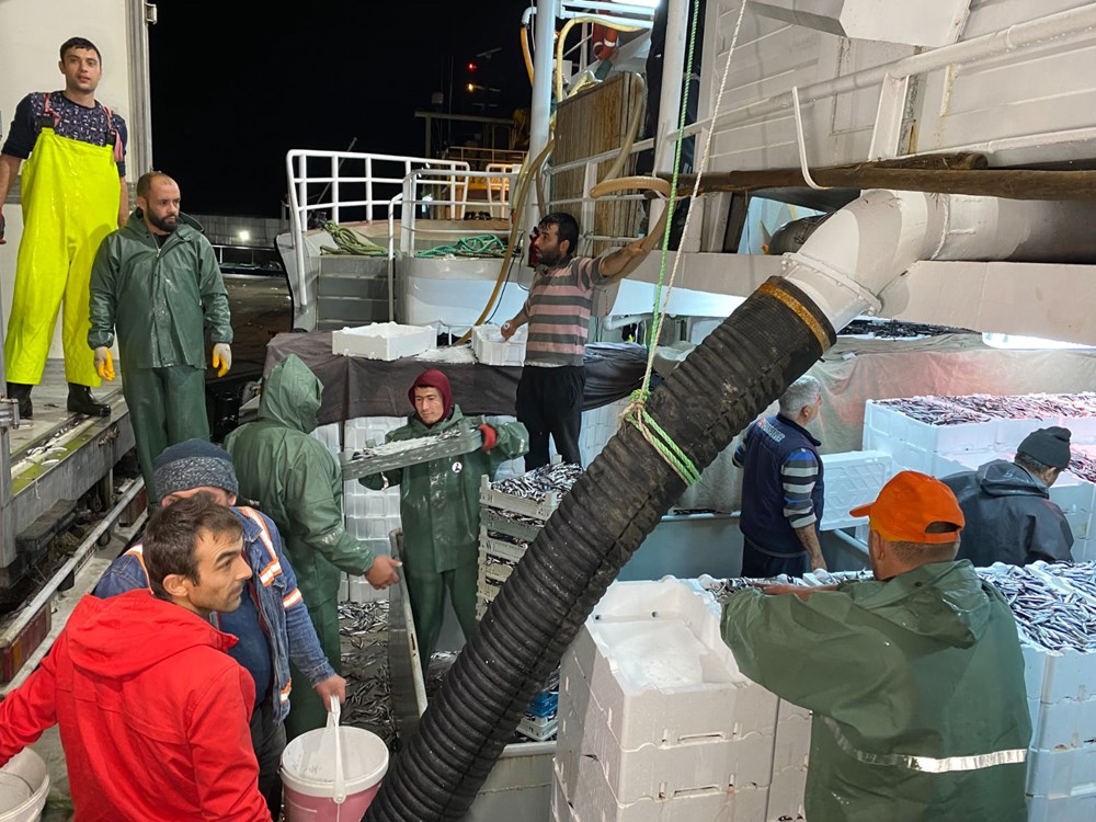 Karadeniz'de hamsi bereketi - 6