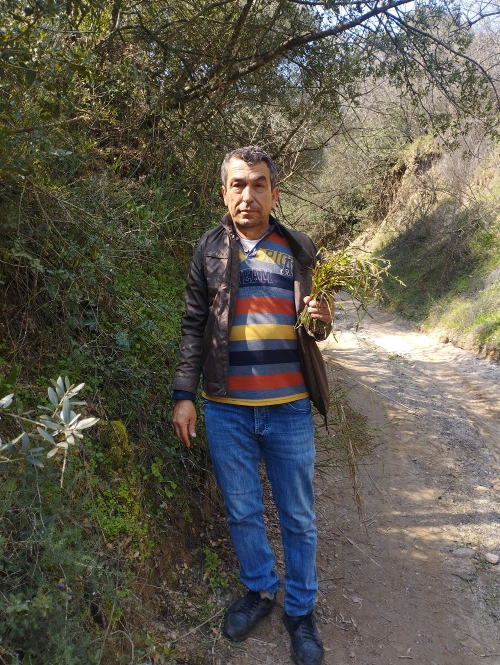 "Acı Ot"tan Sofraya: Kedirgenin Gizli Lezzeti ve İki Sürpriz Tarif 73 iXEf 9kI5ka