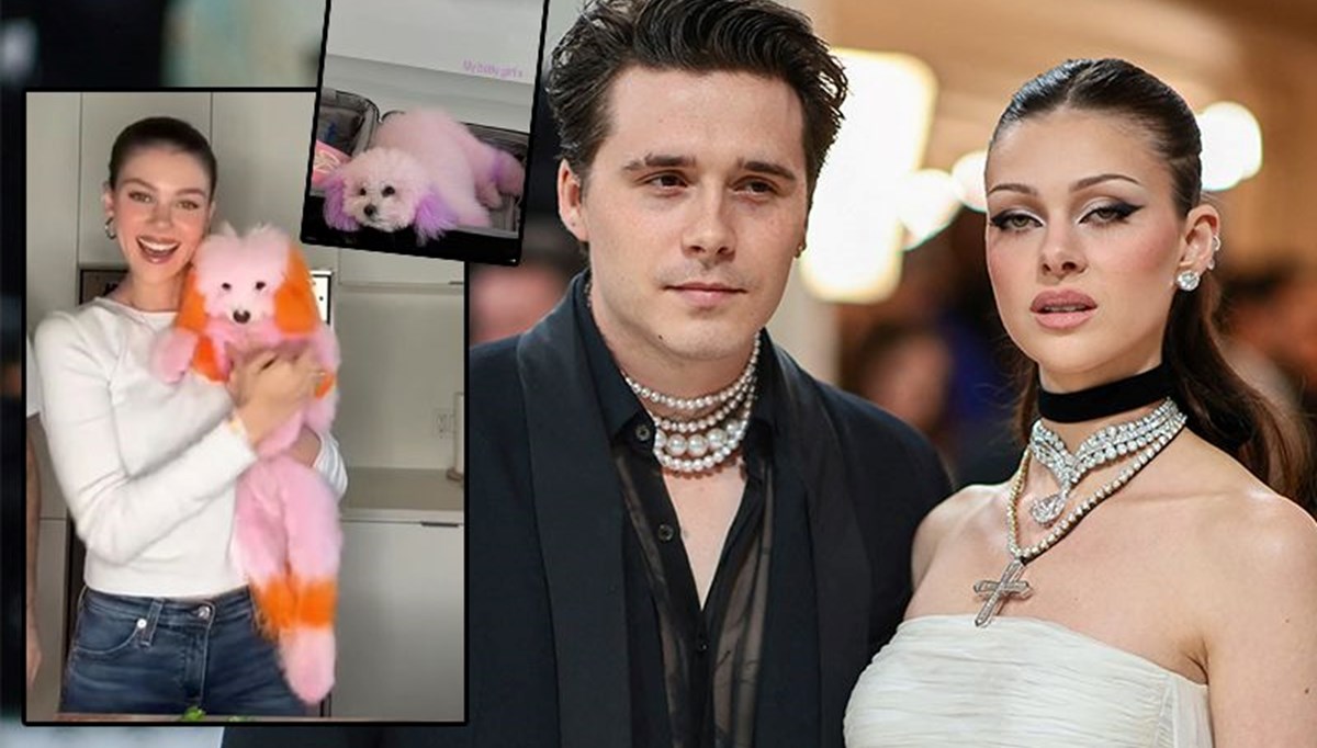 Köpeklerini boyatan Beckham çifti tepki çekti