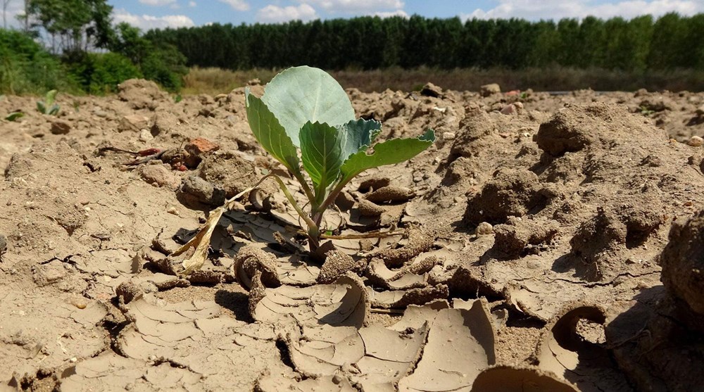 Trakya'da son 91 yılın en kurak dönemi - 5