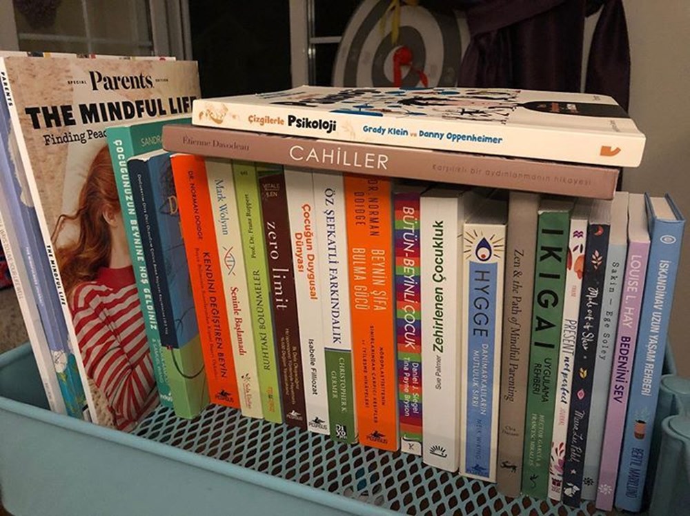 Bergüzar Korel'den kitap tavsiyesi (Ünlü isimlerin okudukları kitaplar) - 3