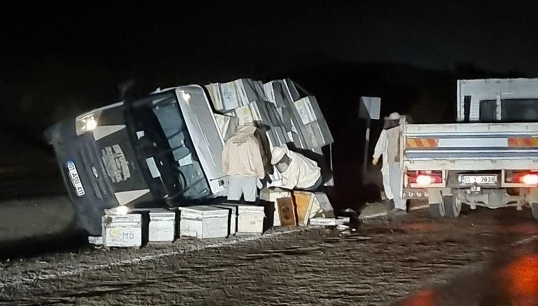 Adana'da devrilen arı kovanı yüklü kamyonetin sürücüsü yaralandı