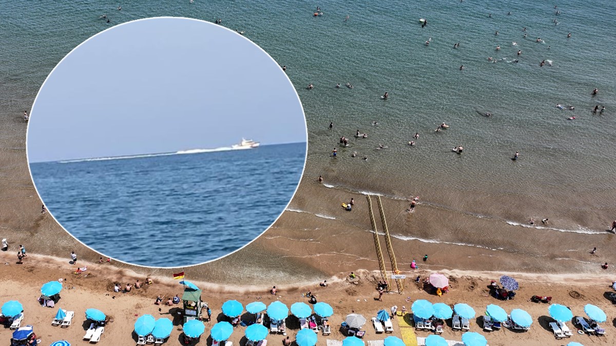 Mersin'de köpek balığı korkusu