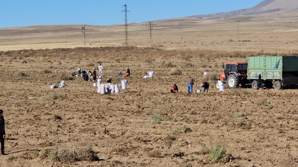 Zarar eden çiftçi, patatesleri vatandaşa dağıttı: Bazıları gibi derelere atmıyoruz! - 1