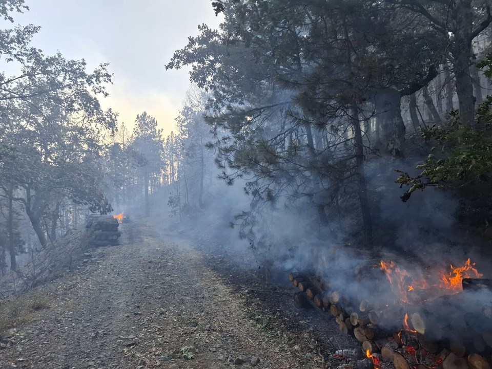 İşte Bursa'yı yakan kıvılcım - 2