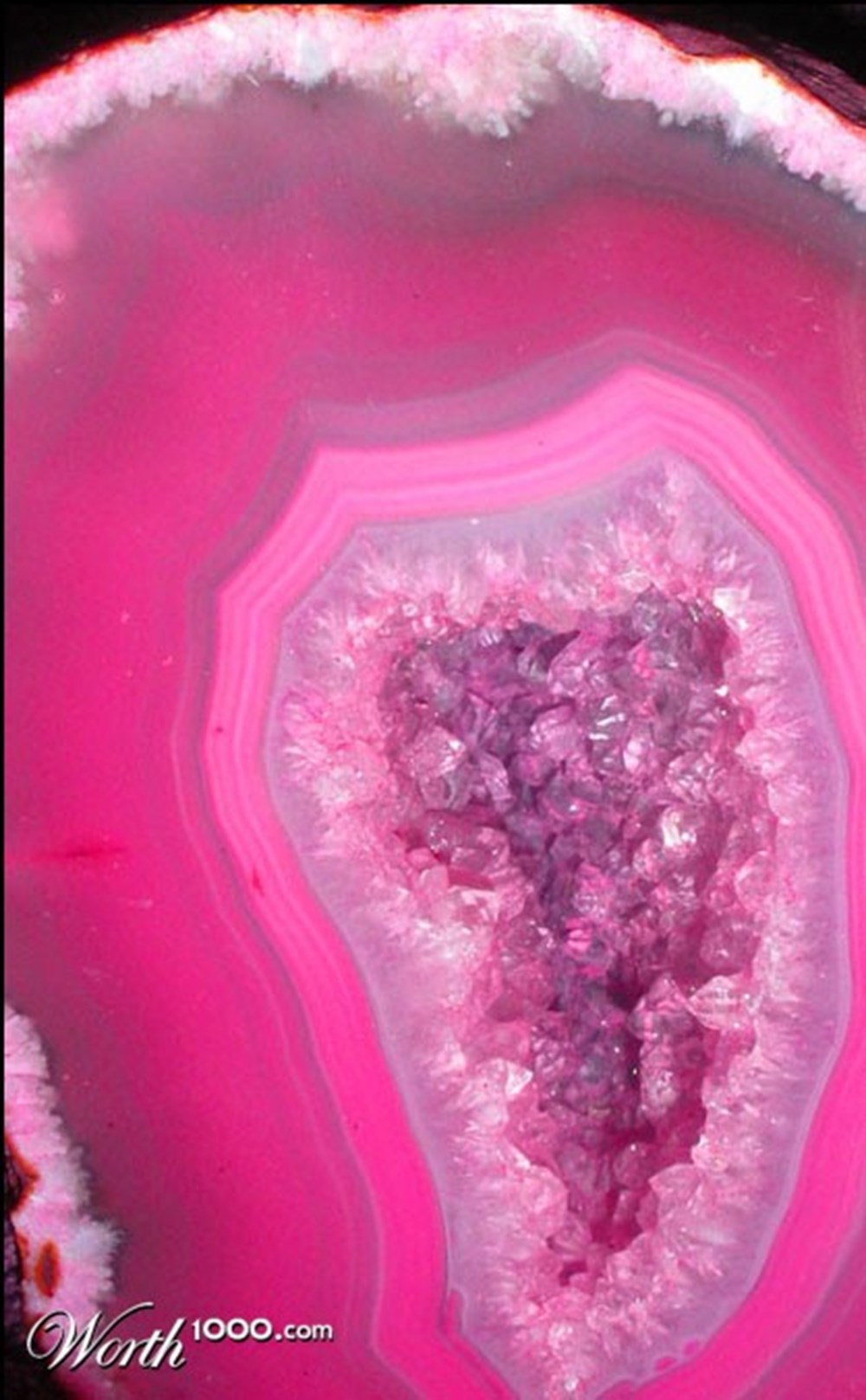 Pembe ve tonları - Son Dakika Yaşam Haberleri | NTV Haber