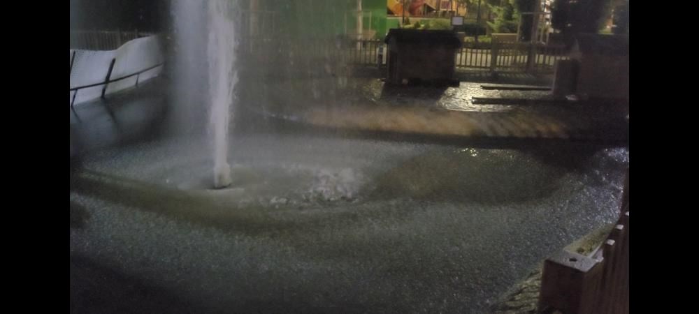 Ankara'da termometreler -9 dereceyi gösterdi: Kuğulu Park'ın havuzları dondu - 4