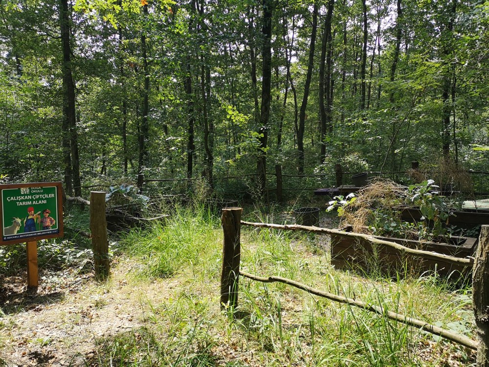 İstanbul çevresindeki en iyi kamp alanları - 15