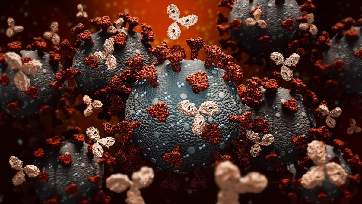 Koronavirüs Bilim Kurulu Üyesi Şener: Artık Omicron dalgası bitiyor diyebiliriz