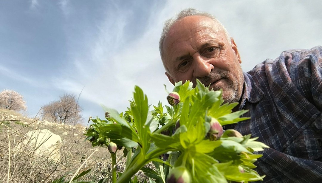 Türkiye'nin dört bir yanındaki dağları geziyor: Bitkilerin frekanslarını ölçüyor