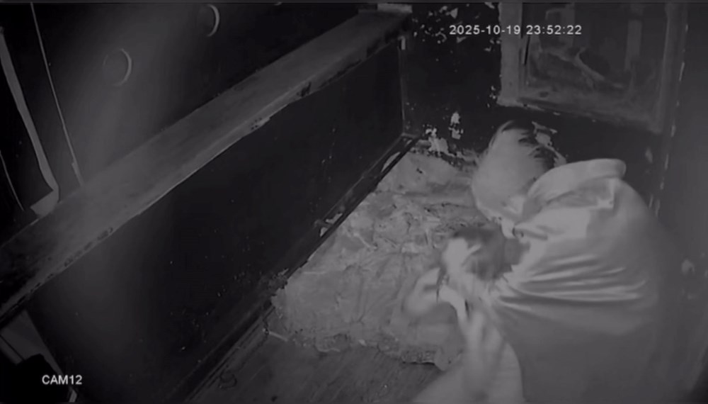 Korku evi eğlencesi kabusa döndü: Elektroşokla şiddete uğradı - 4