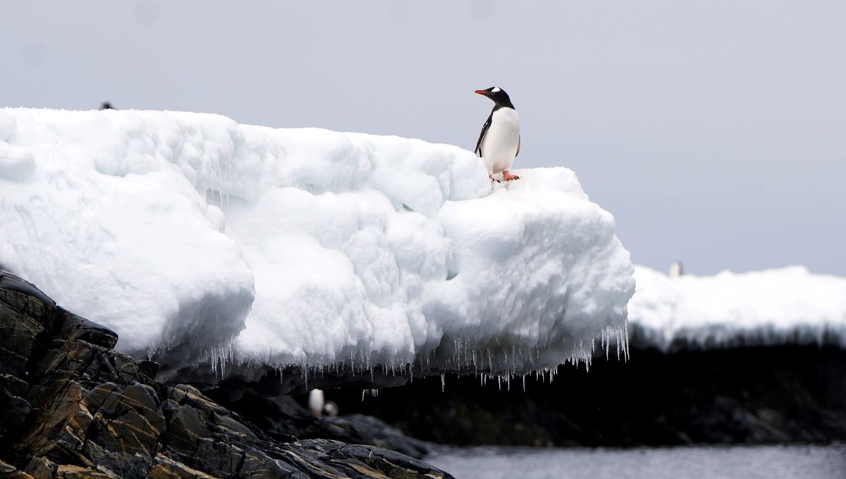 1,5 milyon yıllık buzda saklı şifre