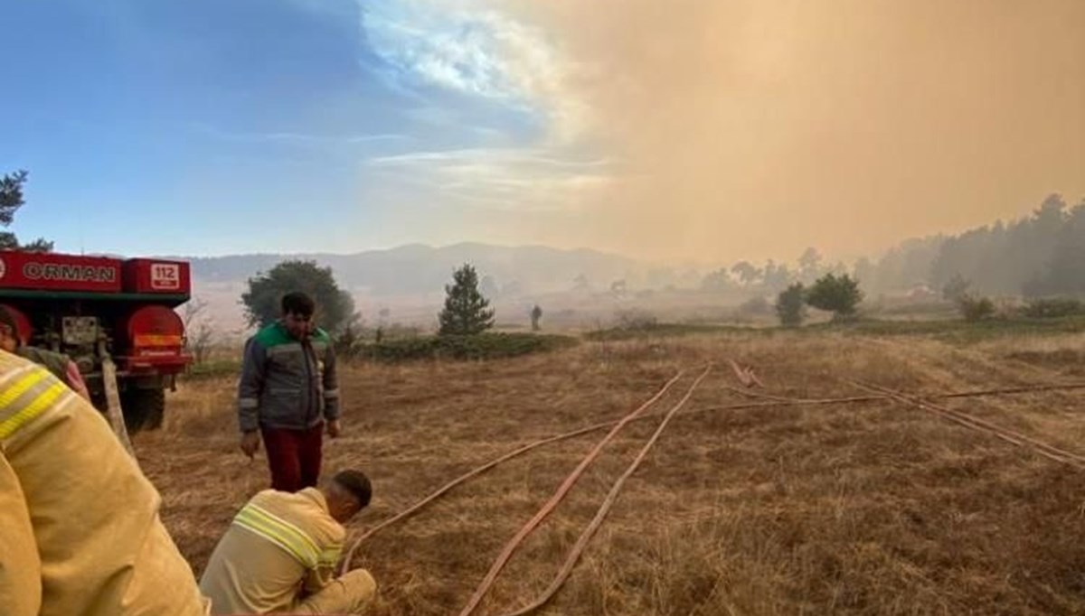 Kocaeli'de makilik alanda yangın