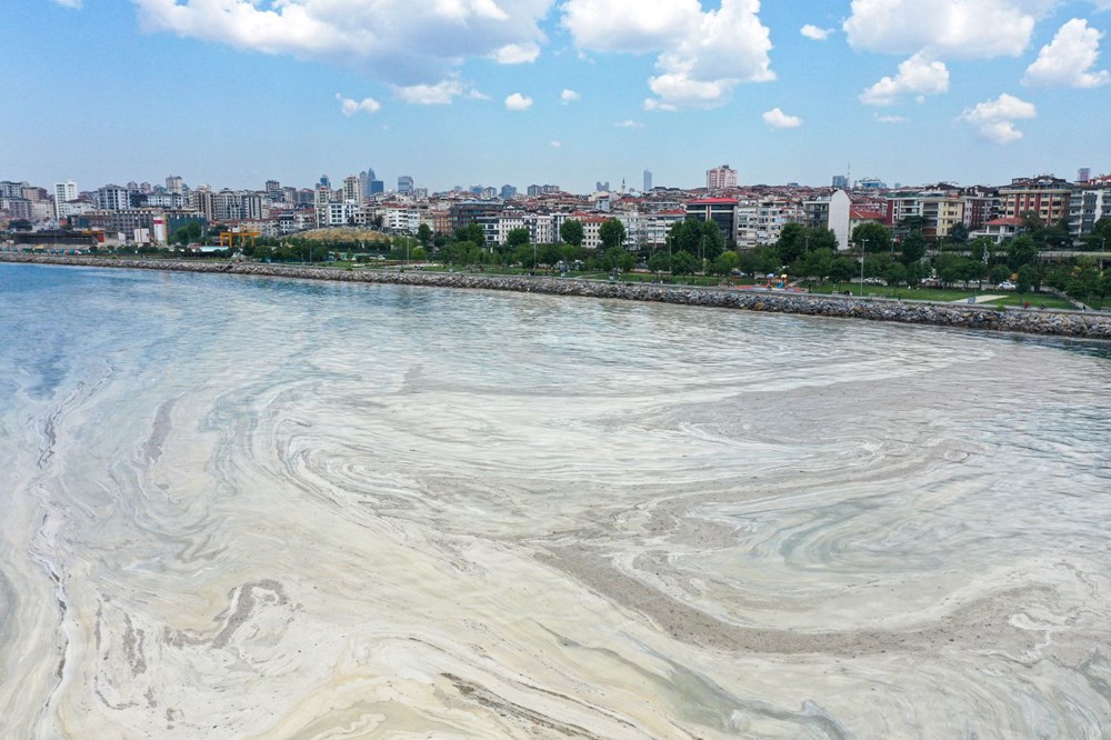 Marmara Denizi nasıl kurtulur? 3 aşamalı çözüm önerisi - 1