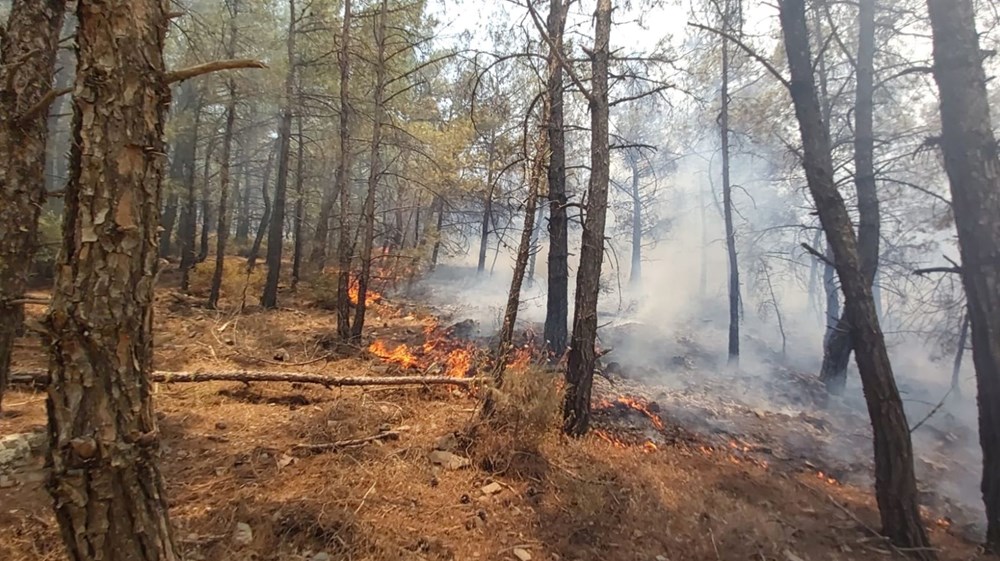 Datça'da orman yangını: Çıkış nedeni belli oldu - 4