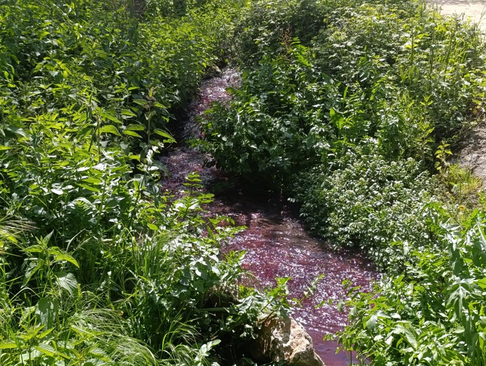 Gören bir daha baktı: Bursa'da bu dere "kan" ağlıyor 73