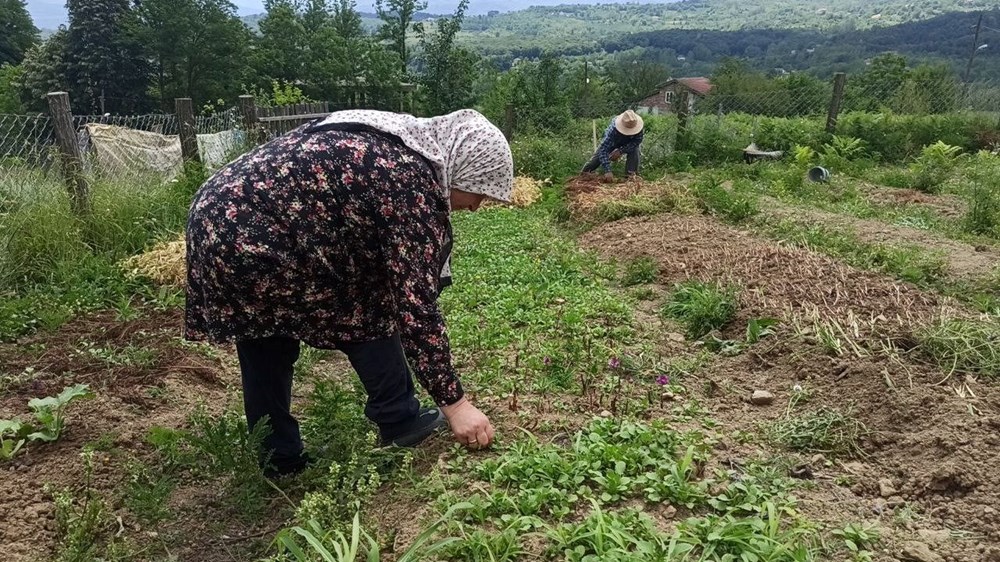 İstanbul'dan memleketlerine döndüler: 2 kardeş 10 dönümlük arazide yetiştiriyor - 1