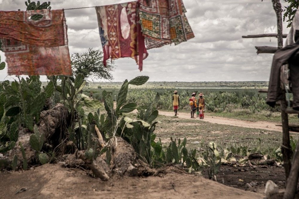 Tarihte sadece iklim krizinden kaynaklanan ilk kıtlık Madagaskar'ı kırıp geçiriyor - 5