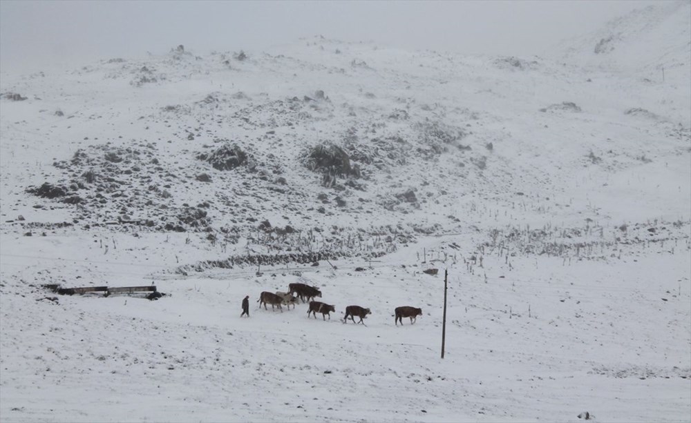 Yurttan manzaralar: Kar erken geldi - 41