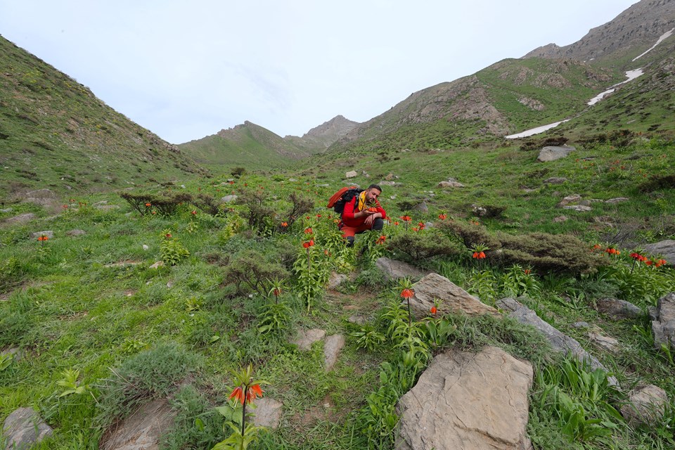 Hakkari'deki Şivişk Vadisi büyük ilgi görüyor - 1