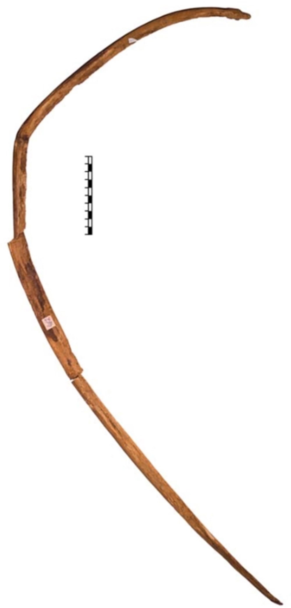 2 bin 600 yıl önce ölen Amazon savaşçısının mumyası bulundu - 8