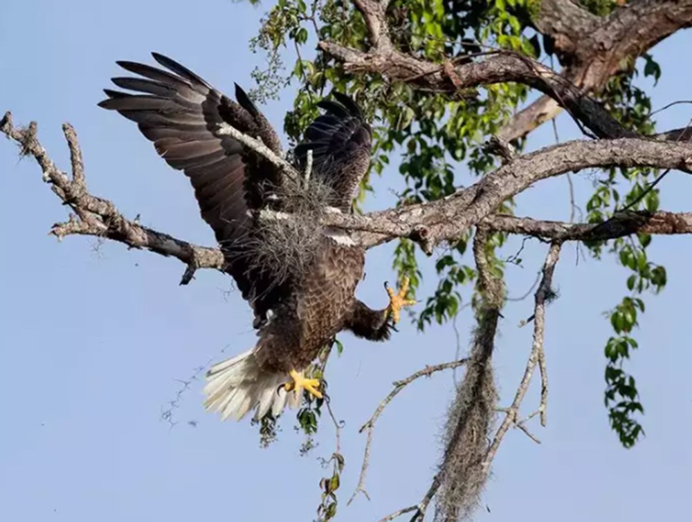 2021 Komik Vah�i Ya�am Foto�raflar� yar��mas�