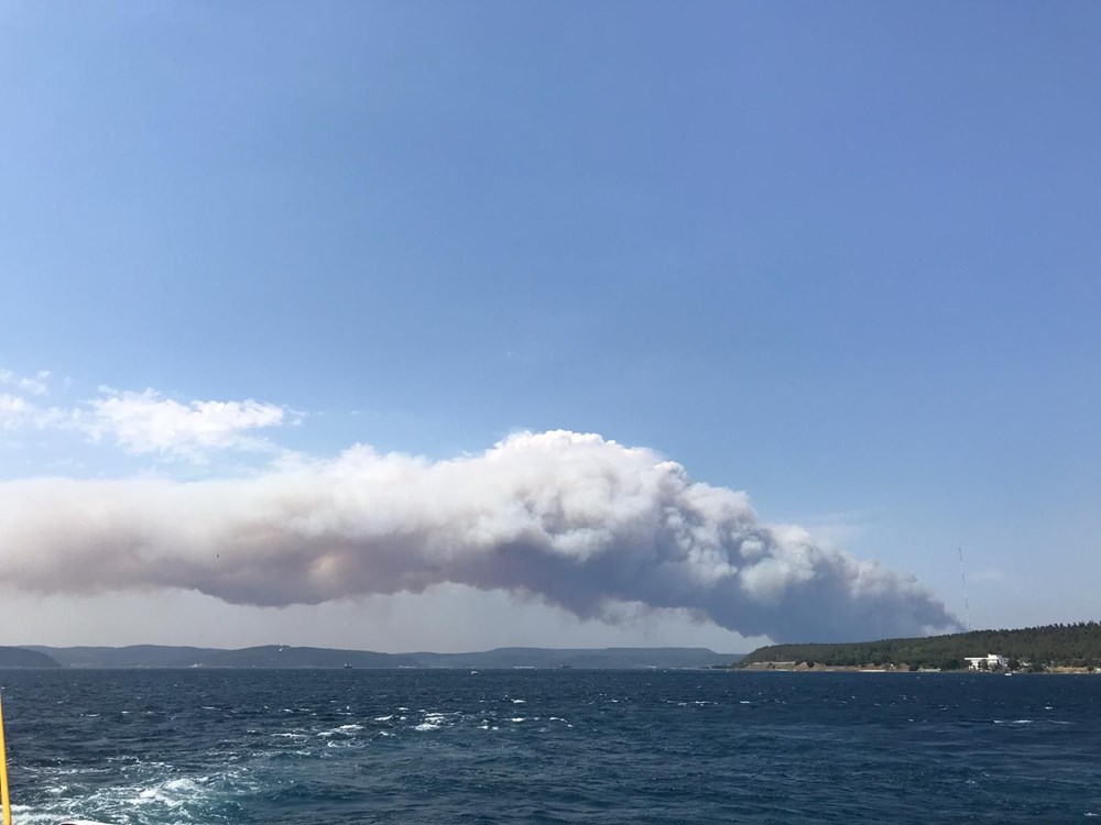 Gelibolu Yarımadası'nda orman yangını - 5