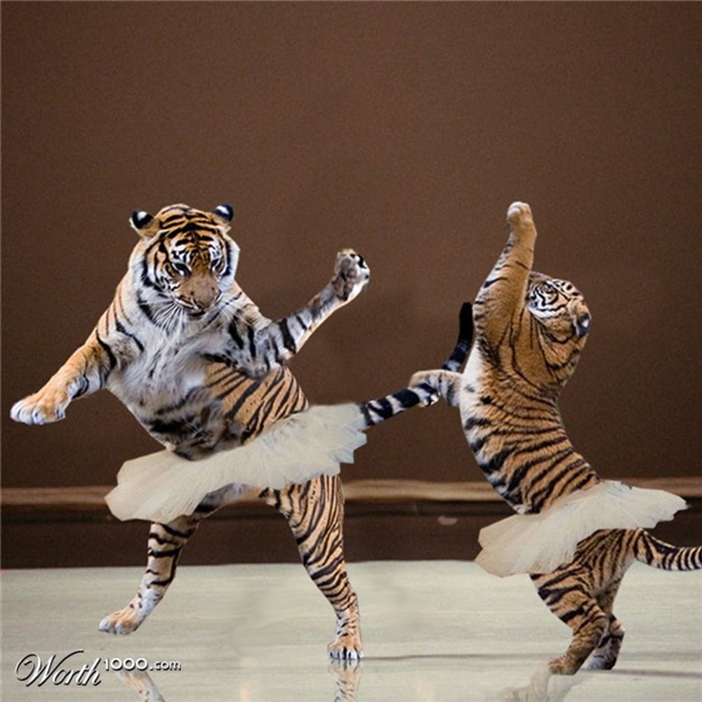 Вчерашняя вечеринка с танцами/фото - foto-video-all, пользователь Татьяна Любима