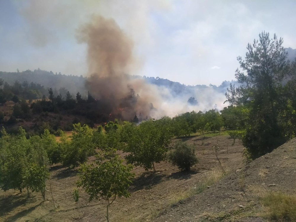 Manisa, Kahramanmaraş ve Antalya'da orman yangınları - 8