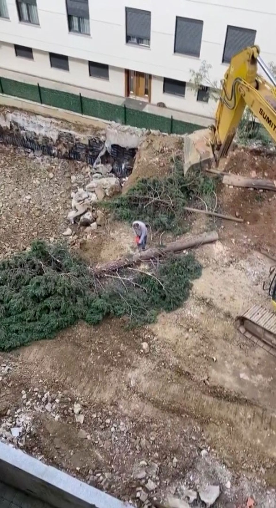 İstanbul'da inşaat için ağacı kesip toprağın altına gömdüler - 1