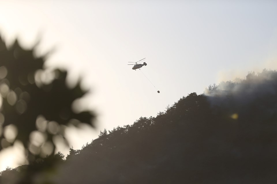 Kahramanmaraş'ta orman yangını - 1