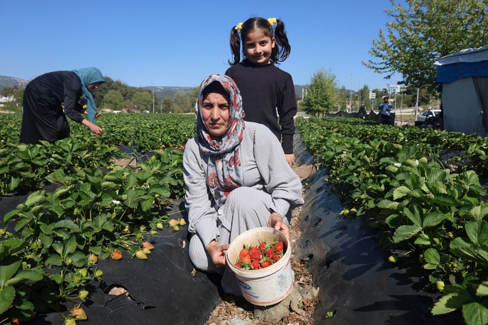 isCT1CiqDUSLqplZylAavQ