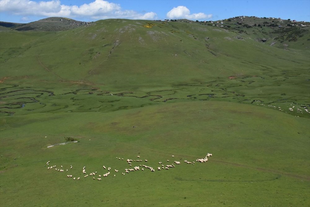 Karadeniz'in menderesleriyle ünlü Perşembe Yaylası doğaseverleri ağırlıyor - 6