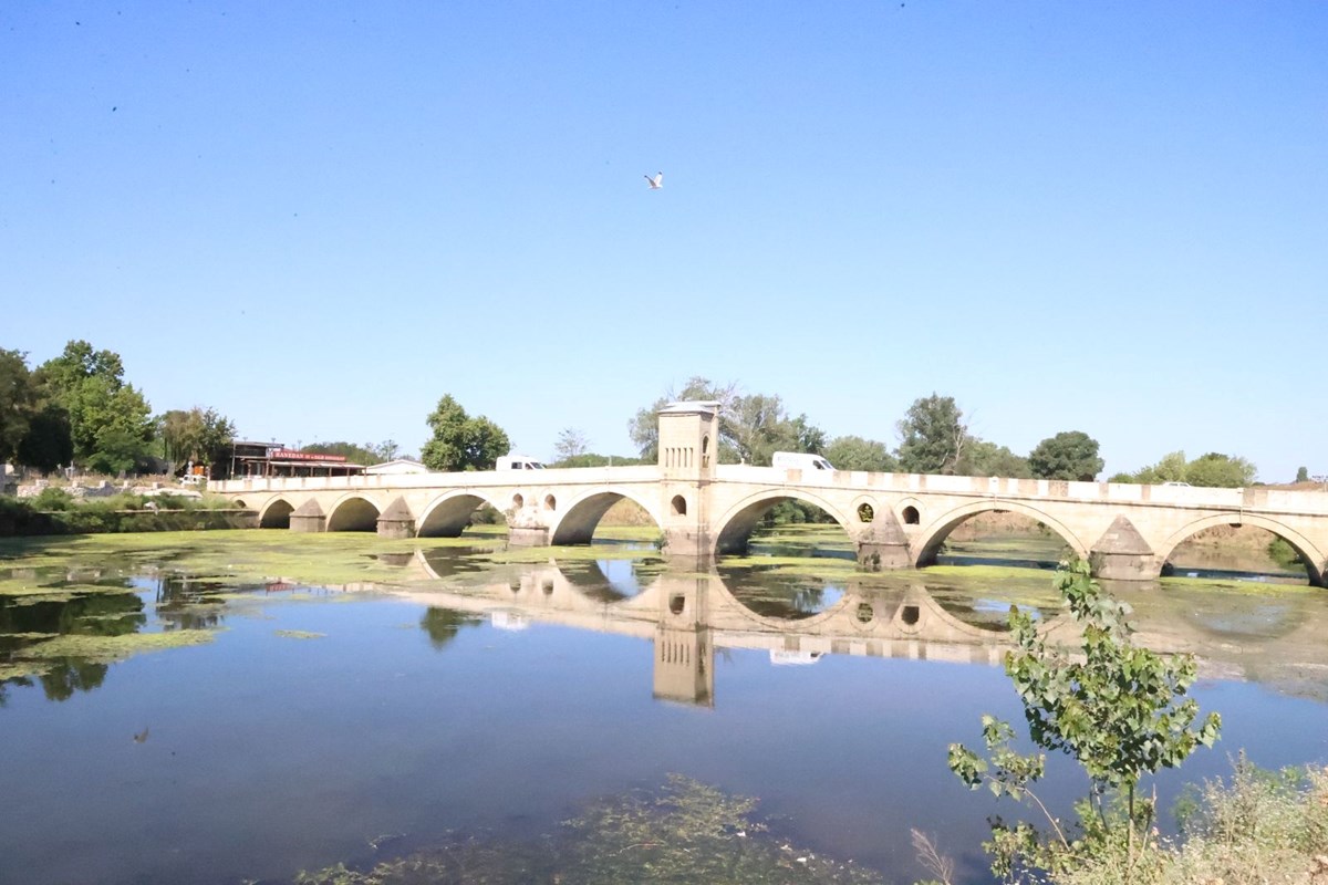 Tunca Nehri yosun tuttu!