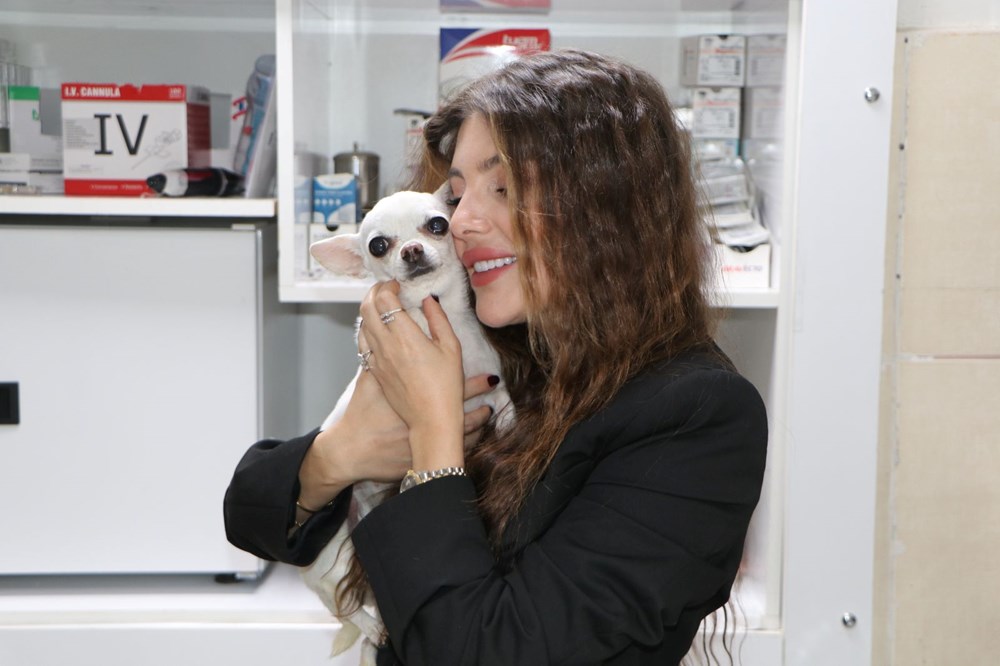 Mini'nin Horultu Serüveni: Uykusuz Gecelerin Neden Kaynağı? 76