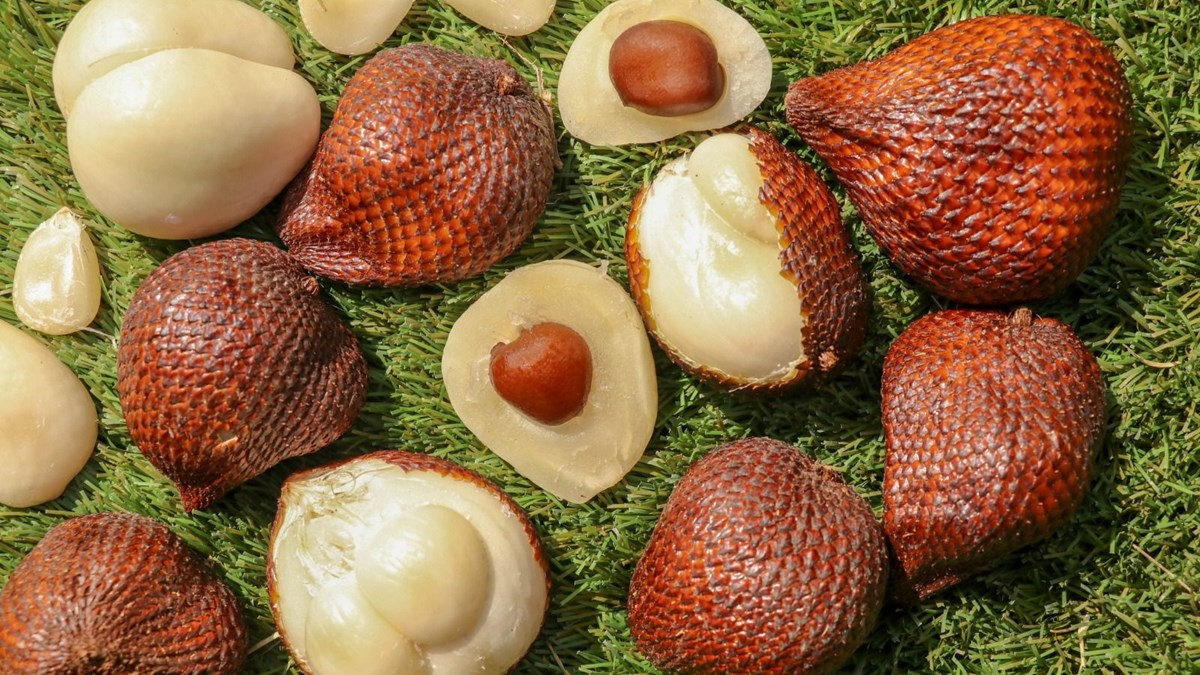 Salak pondoh meyvesi nedir? Salak pondoh meyvesinin faydaları nelerdir? - Sağlık Haberleri