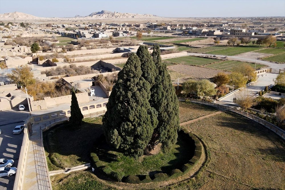 İran'ın en yaşlı ağacı Dünya Mirası Listesi'ne girmeyi bekliyor - 10