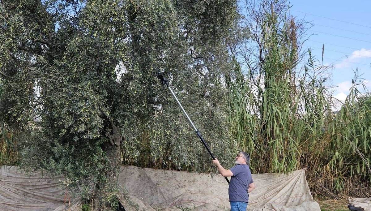Hasat dönemi başladı: 