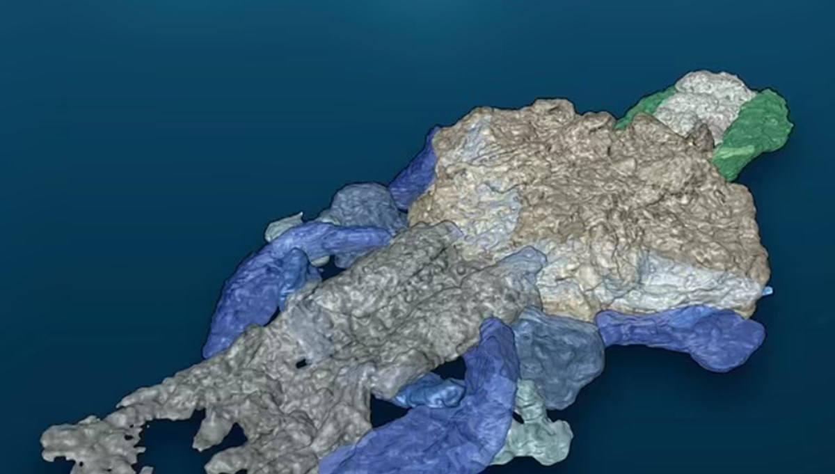 En eski omurgalı bulundu: 390 milyon yaşındaki fosilin 4 uzvu ve bir çenesi olduğu keşfedildi