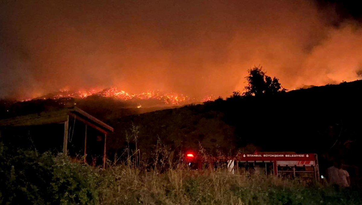 Sarıyer'de otluk alanda yangın