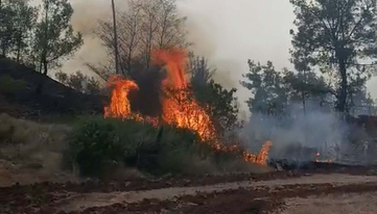 Denizli'de orman yangını