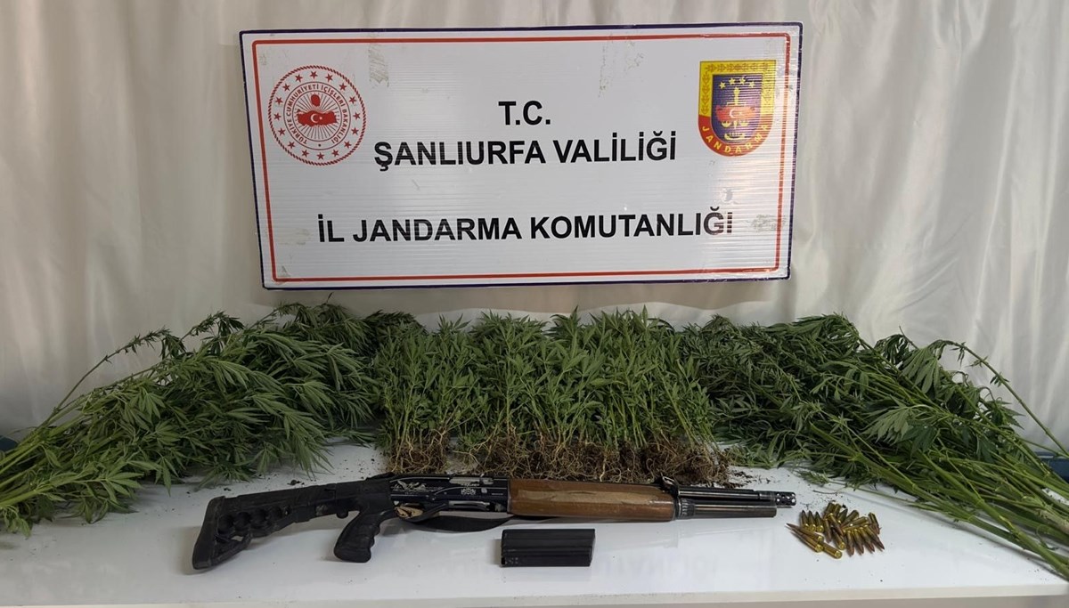 Şanlıurfa'da uyuşturucu operasyonu Şanlıurfa'da uyuşturucu operasyonu