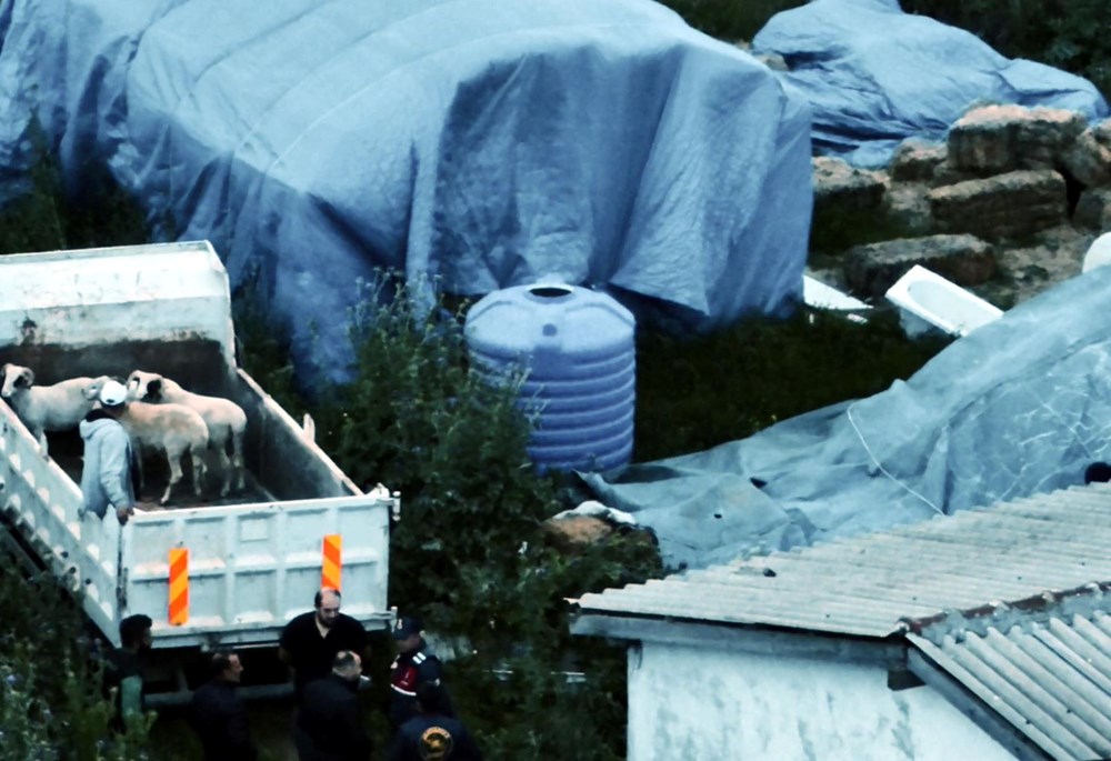 Kurban Bayramı öncesi hırsızlıklar harekete geçti: 11 küçükbaş çalındı - 6