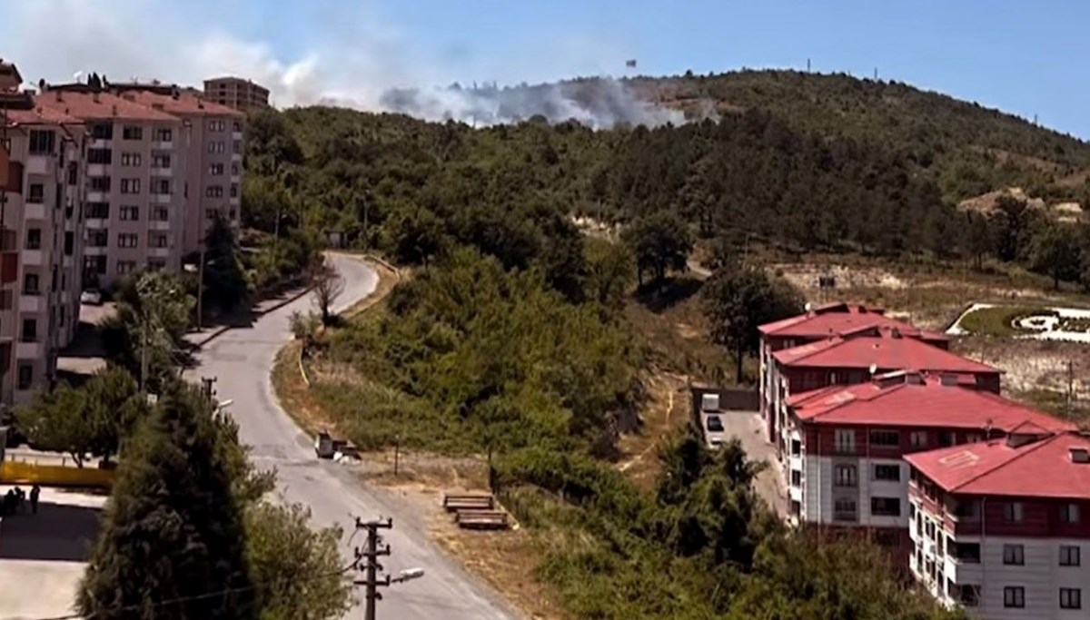 Anız ateşi ormana sıçradı