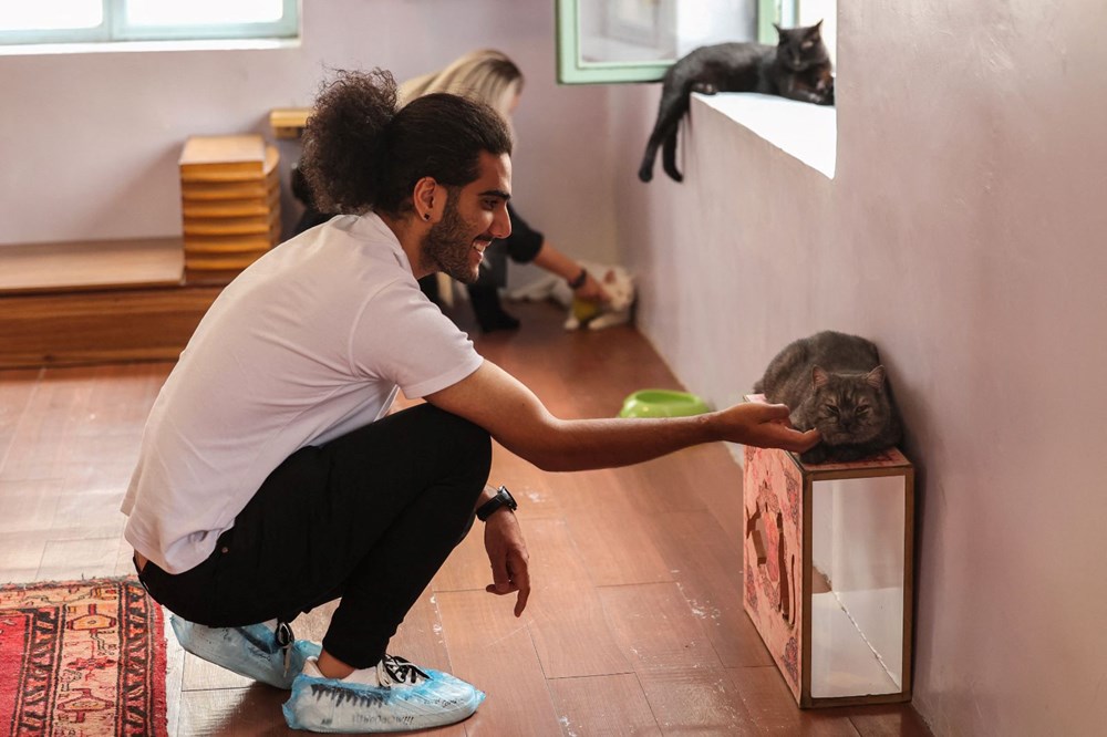 İran'da kedi kafe açıldı: Ziyaretçilerden yoğun ilgi - 2