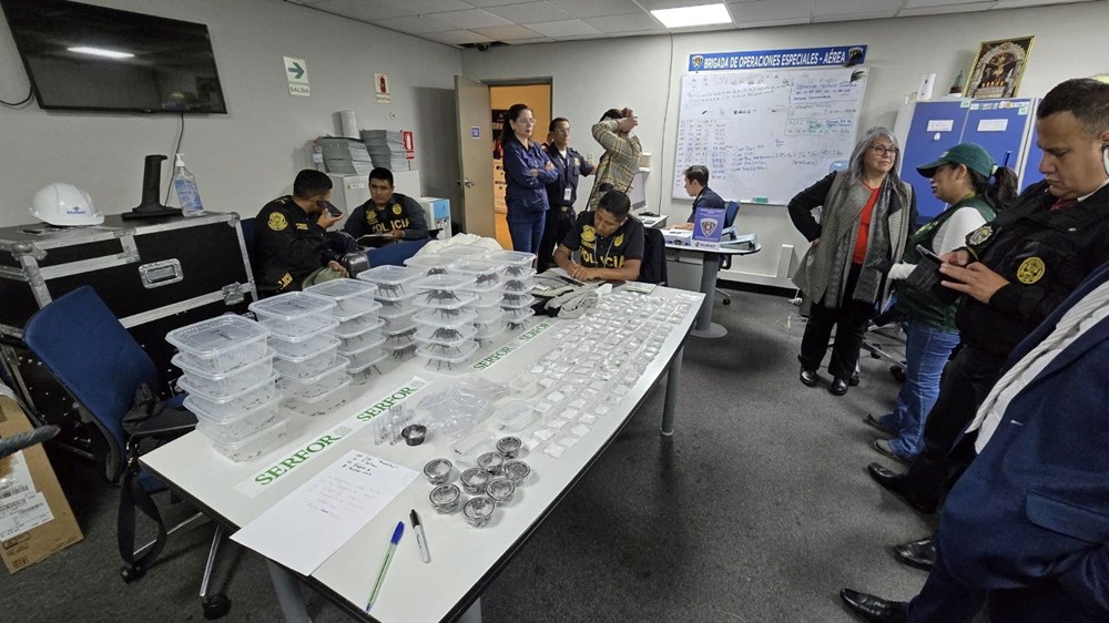 Havalimanında tarantula operasyonu: Üzerinde yüzlerce egzotik hayvanla yakalandı - 4
