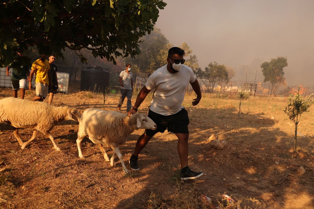 Yunanistan alevlerle boğuşuyor: Türkiye'nin gönderdiği uçaklar Atina'da - 11