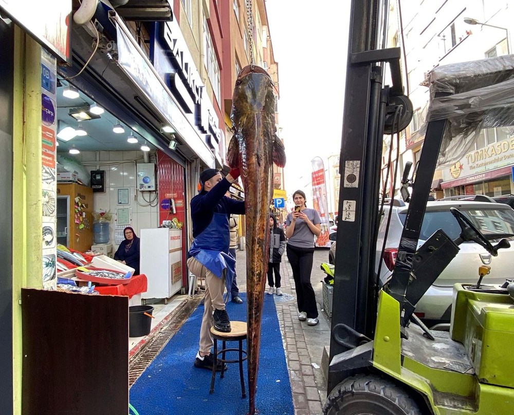 Meriç Nehri’nde yakalandı, tam 3 metre: Kilosu 450 liradan satışta 76 j6lREsNjWkaT1s3JYJF78g