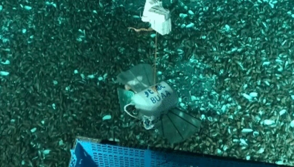 Çinli bilim insanları Mariana Çukuru’na robot indirdi