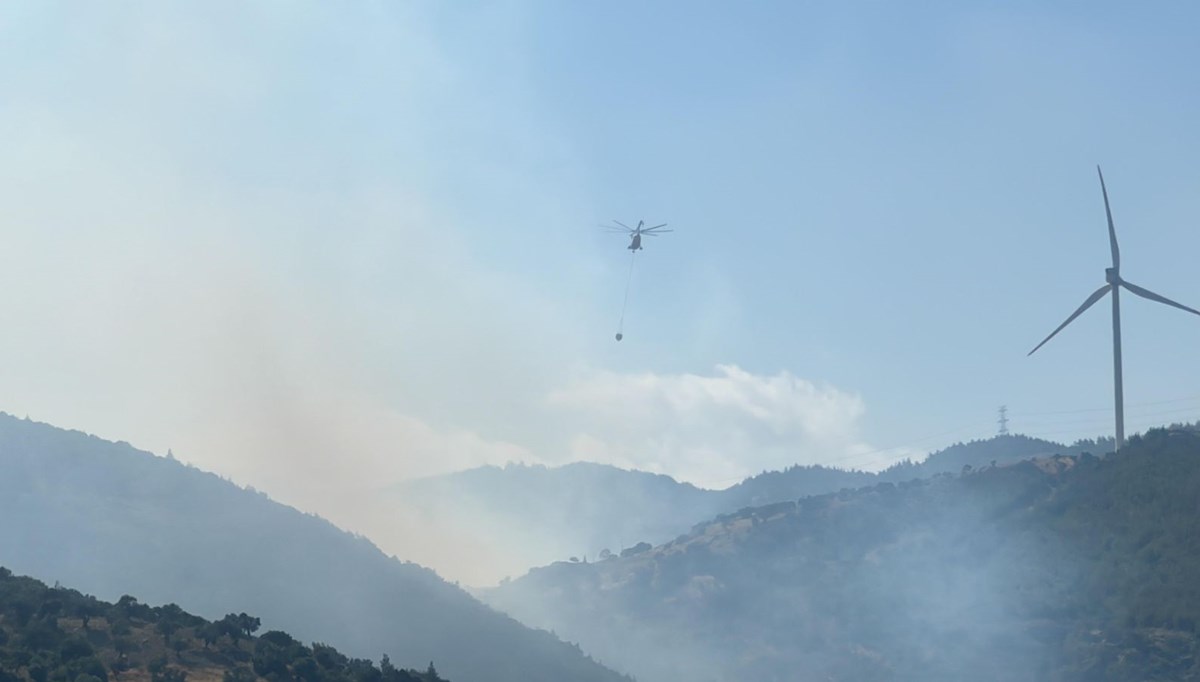 İzmir'de orman yangını